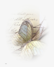 Realistic Paper Butterflies, HD Png Download, Transparent PNG