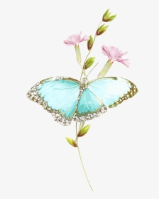 Illustration, HD Png Download, Transparent PNG