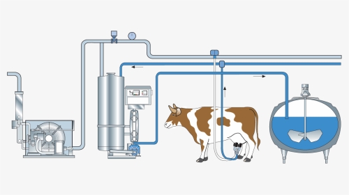 Automated Milking And Examination Of Cows, HD Png Download, Transparent PNG