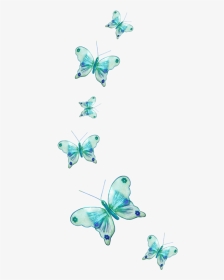 Butterfly Photo Download Hd, HD Png Download, Transparent PNG