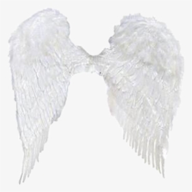 #angelwings #wings #angel #aesthetic #sticker #freetoedit - Angel, HD Png Download, Transparent PNG
