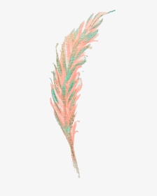 #feather #featherwreath #bohemian #boho #colourful - Clip Art, HD Png Download, Transparent PNG