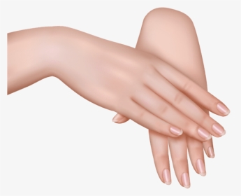 Free Png Download Female Hands Clipart Png Photo Png - Female Hands Png, Transparent Png, Transparent PNG
