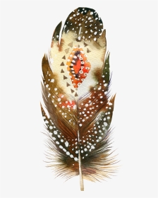 #feather #bohofeather #bohemian #featherart #feathersticker - Watercolor Feathers Boho, HD Png Download, Transparent PNG