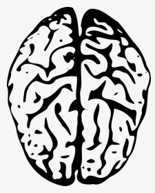 Transparent Background Brain Clip Art- - Blue Brain Png, Png Download, Transparent PNG