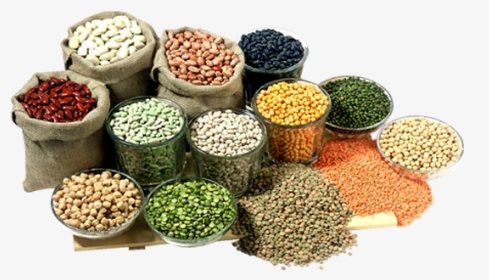 Different Pulses, HD Png Download, Transparent PNG