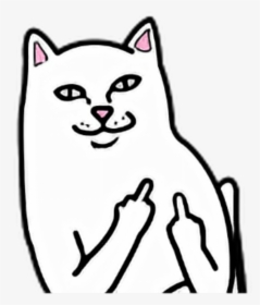 Cat White Fuck You Off Fuckyou Fuckoff Middle Finger - Middle Finger Cat Png, Transparent Png, Transparent PNG