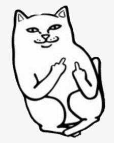 Fuck You Cat , Png Download - Middle Finger Cat, Transparent Png, Transparent PNG