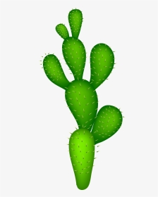 Cactaceae Clip Art, HD Png Download, Transparent PNG