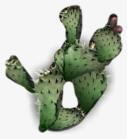 #cactus Plant - Eastern Prickly Pear, HD Png Download, Transparent PNG