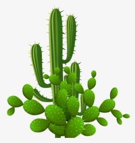 Eastern Prickly Pear, HD Png Download, Transparent PNG