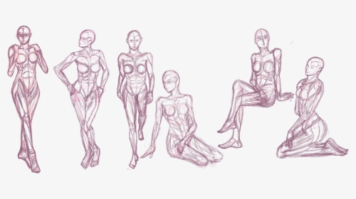 Picture Black And White Anatomical Drawing Figure - Human Anatomy Drawing Studies, HD Png Download, Transparent PNG