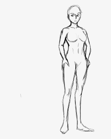 Female Adult Body Template, HD Png Download, Transparent PNG
