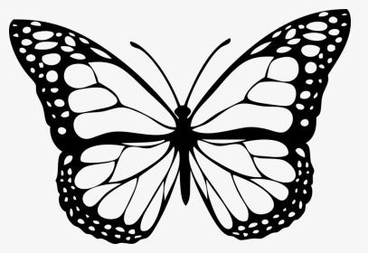 Butterfly Clipart Black And White Png, Transparent Png, Transparent PNG