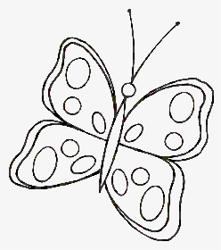 Cute Butterfly Drawings - Cute Butterfly Black And White Clipart, HD Png Download, Transparent PNG