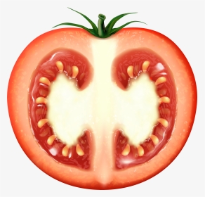 Half Tomato Transparent Clip Art Image, HD Png Download, Transparent PNG
