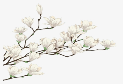 #mq #white #flowers #flower #garden #nature - Snowdrop, HD Png Download, Transparent PNG