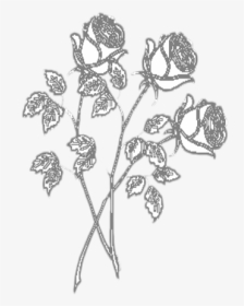 #mq #white #black #roses #flower #flowers - Picsart Black And White Flowers, HD Png Download, Transparent PNG