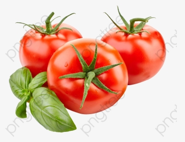 Tomato Clipart Cut - Tomato Png, Transparent Png, Transparent PNG
