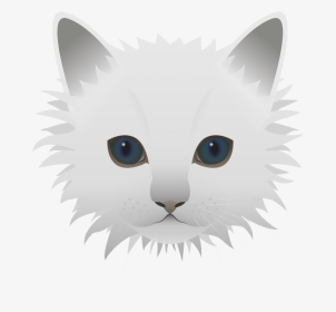 Cat, HD Png Download, Transparent PNG