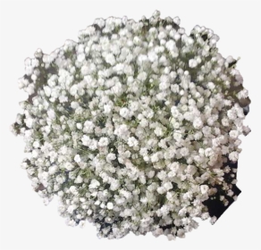 Babies Breath Bouquet From Top - Artificial Flower, HD Png Download, Transparent PNG