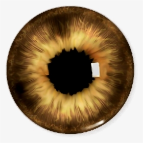 #eyes #eye #عربي #تصميم #ريم #عين #عيون #ازرق #اخضر - Eyes Lens Png Picsart, Transparent Png, Transparent PNG