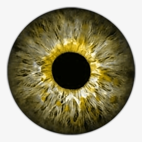 #eye , #eyes , #eyeball , #eyeballs - Red Eye Lens Png, Transparent Png, Transparent PNG
