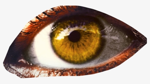 #eye #eyeball #eyesticker #yelloweye - Close-up, HD Png Download, Transparent PNG