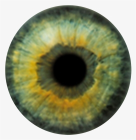 Realistic Green Eye Texture, HD Png Download, Transparent PNG