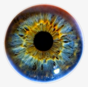 #eye - Orange Iris Eye, HD Png Download, Transparent PNG