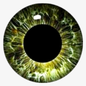 #greeneyes #eyes #eyeball - Circle, HD Png Download, Transparent PNG