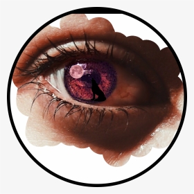 What Colour Eyes Do You Have - Close-up, HD Png Download, Transparent PNG