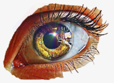 #humaneye - Close-up, HD Png Download, Transparent PNG