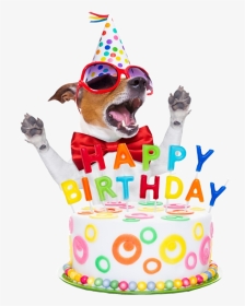 #happybirthday #birthday #birthdaycandles #wish #dog - Happy Birthday Summer Dog, HD Png Download, Transparent PNG
