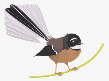 Fantail Bird Png, Transparent Png, Transparent PNG