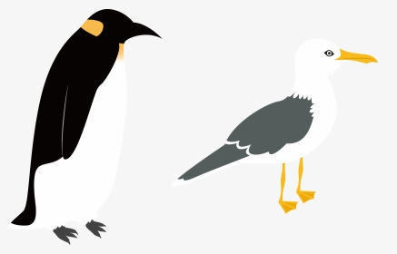Penguin Vector Png - Intermediate Egret Flat Illustration, Transparent Png, Transparent PNG