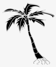 Palm Tree Silhouette Clipart - Borassus Flabellifer, HD Png Download, Transparent PNG