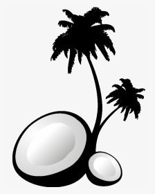 Palm Tree Set Png - Palm Tree Vector, Transparent Png, Transparent PNG
