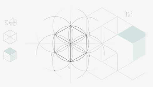Hexagon Fig - Circle, HD Png Download, Transparent PNG