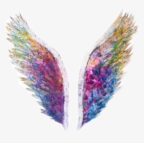 #art #wings #sticker #paint #angel #creative - Colette Miller Wings, HD Png Download, Transparent PNG