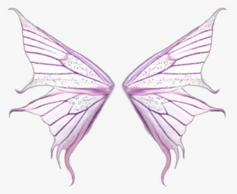 #fairy #wings #forest #magic #fairywings - Wings, HD Png Download, Transparent PNG