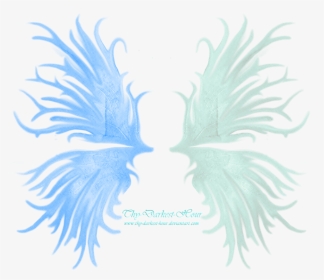 Frilled Fairy Wings 02 By Thy Darkest Hour - Portable Network Graphics, HD Png Download, Transparent PNG