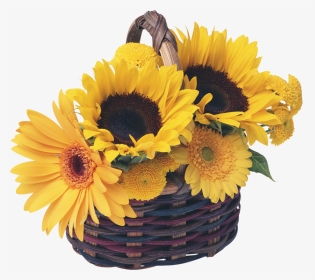 Royalty-free Basket Common Sunflower Garden - Sunflower Basket, HD Png Download, Transparent PNG