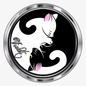 Black And White Cat Yin Yang, HD Png Download, Transparent PNG