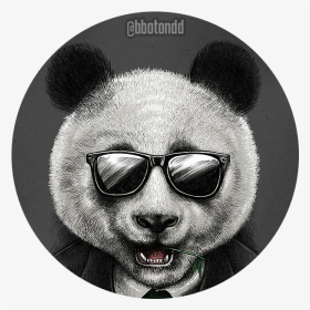 Cool Panda Profile, HD Png Download, Transparent PNG