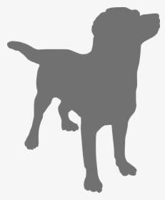 Picture1 - Dog Black Transparent Background, HD Png Download, Transparent PNG