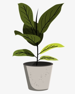 Adobe Illustrator Plants, HD Png Download, Transparent PNG