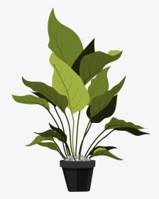 Ornamental Plants Leaves, HD Png Download, Transparent PNG
