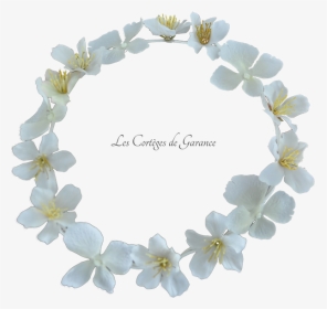Couronne Blanche Hortensias Fleurs De Cerisiers - Artificial Flower, HD Png Download, Transparent PNG