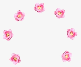 Floribunda, HD Png Download, Transparent PNG